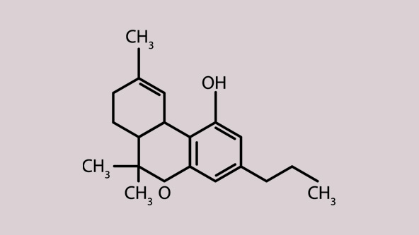 Highサティバ CNP THXE CRDP cbd cbn cbp h4CBH Hitachi Supria True64 CT Receives FDA Clearance | DAIC